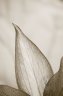 FL8490.jpg