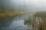 foggy river wetlands fog