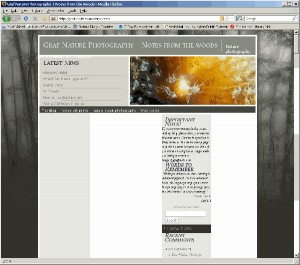 Messed Up Blog - screenshot courtesy Tom Whelan Messed Up Blog