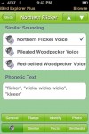 A bird song in your hand Bird songs