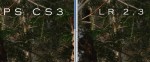 Comparison 2 Photoshop vs. Lightroom JPEGs