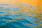 Water reflection - or something else?