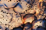 Montana Agate | Nikon D700, two cross polarized SB-R200 flashes, backlight Montana Agate