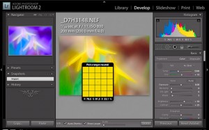white balance adjustment in Lightroom Lightroom White Balance