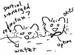 Bear Image of the Year