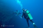 My wife Lisa playing tug-of-war with a sea lion Tug-of-War