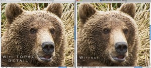 Topaz Detail comparison at 100% Comparison at 100%