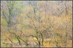 spring textures 