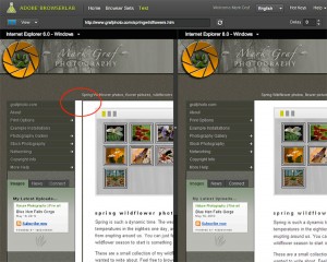 grafphoto.com in Windows Internet Explorer v6 and v8